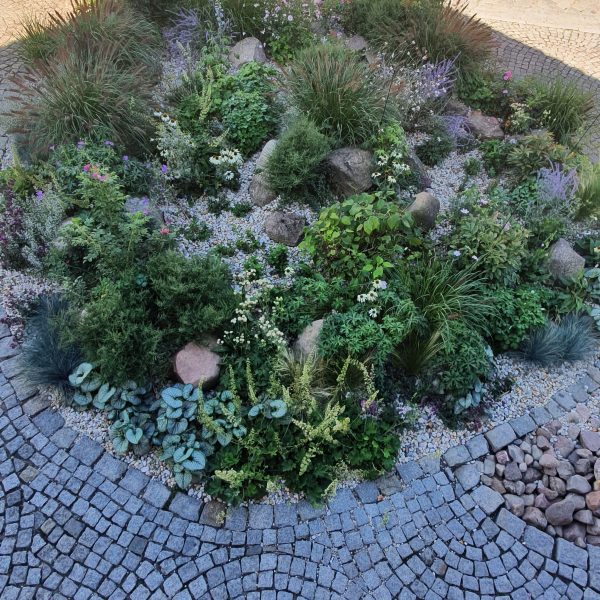 Staudenbeet von oben, Granit Kleinstein