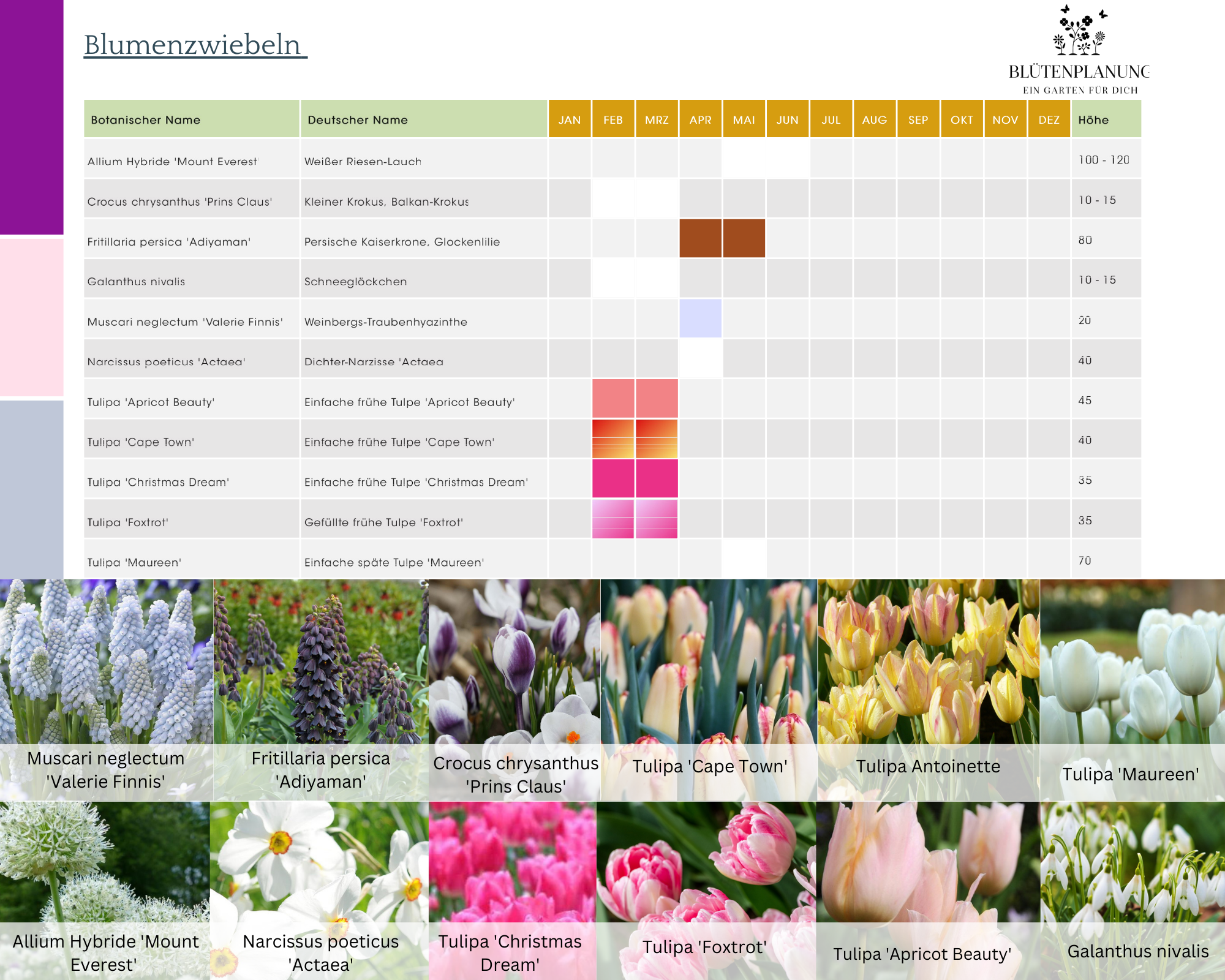 Bepflanzungsplan, Nina Pollex