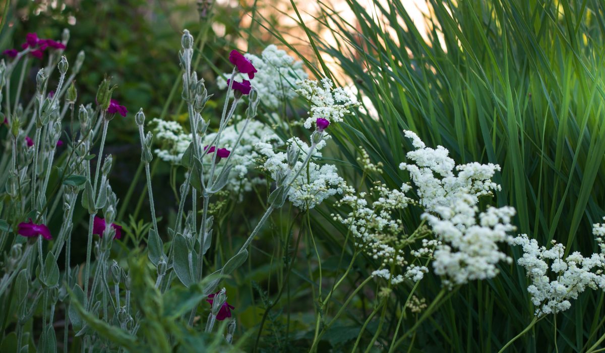 Gartengestaltung Ideen mit Stauden