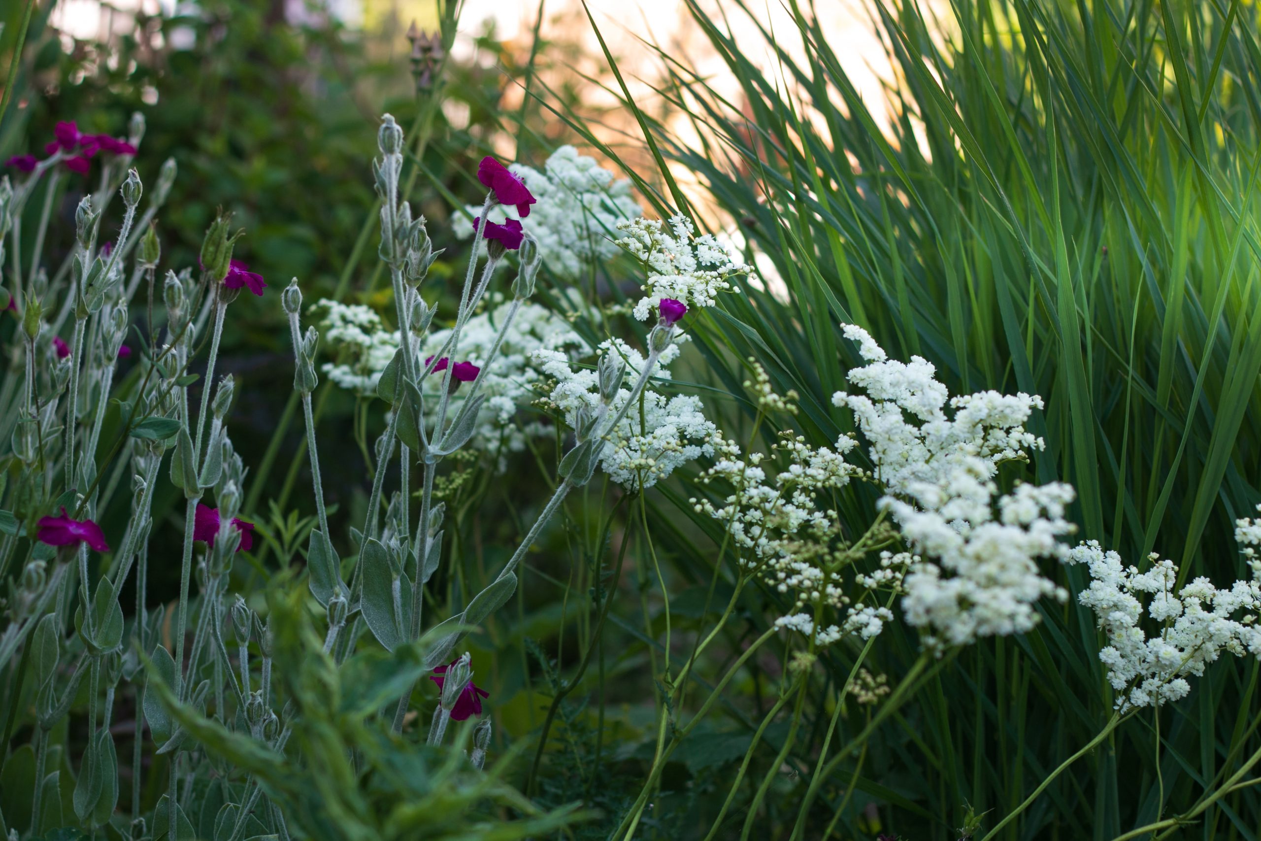Gartengestaltung Ideen mit Stauden