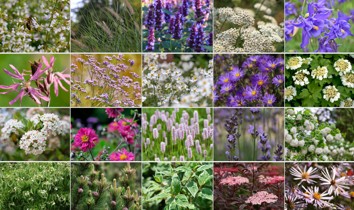 Pflanzplanung Trebbin